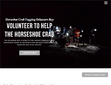 Tablet Screenshot of horseshoecrabtagging.org